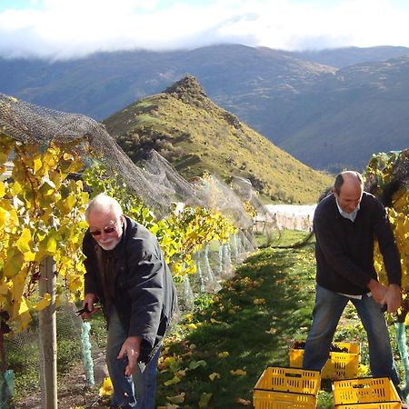 וואנאקה Mt Rosa Lodge Boutique Vineyard Accommodation מראה חיצוני תמונה