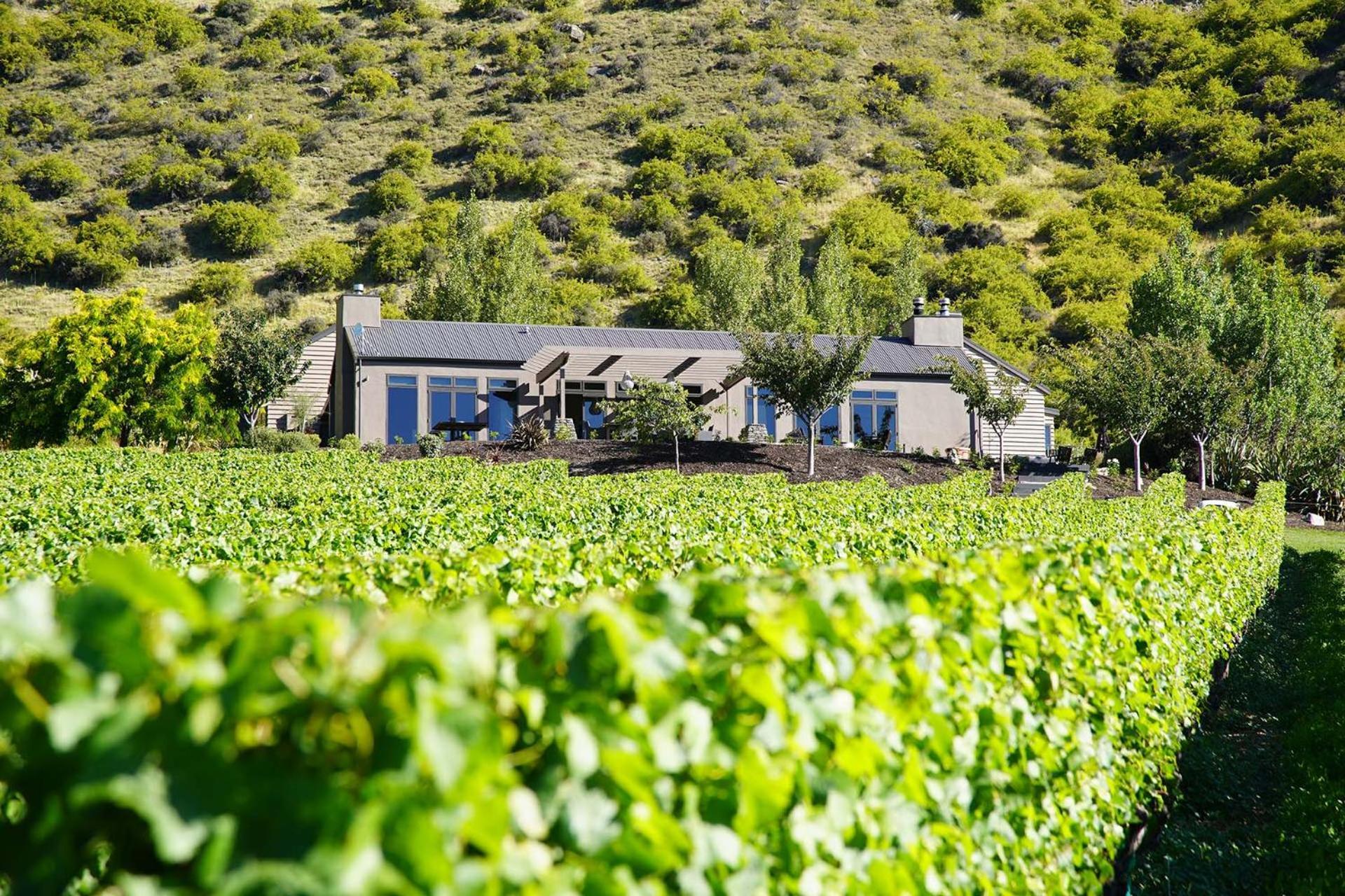 וואנאקה Mt Rosa Lodge Boutique Vineyard Accommodation מראה חיצוני תמונה