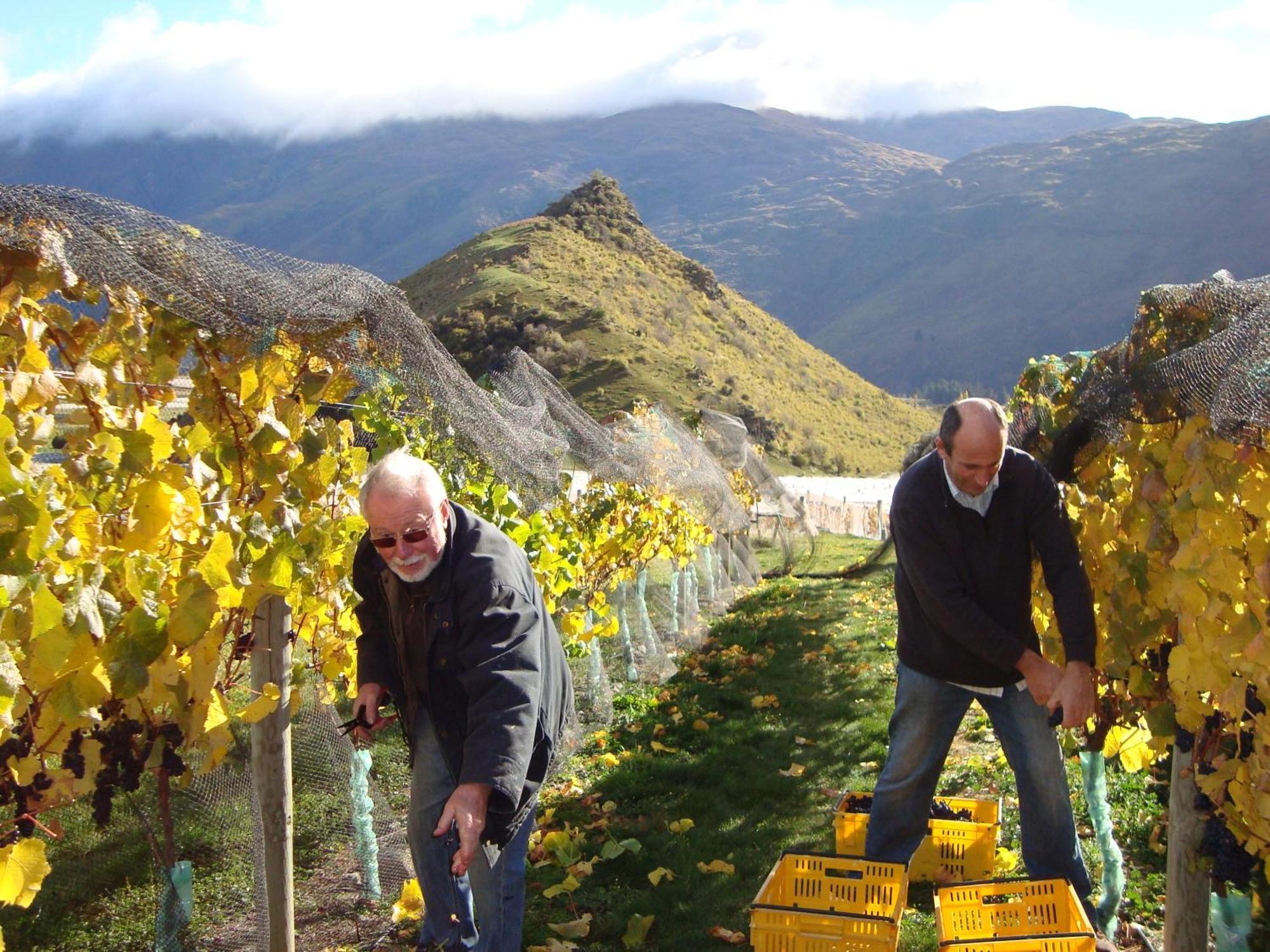 וואנאקה Mt Rosa Lodge Boutique Vineyard Accommodation מראה חיצוני תמונה